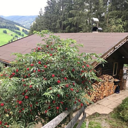 Wasserfallhuette Saalbach Zewnętrze zdjęcie