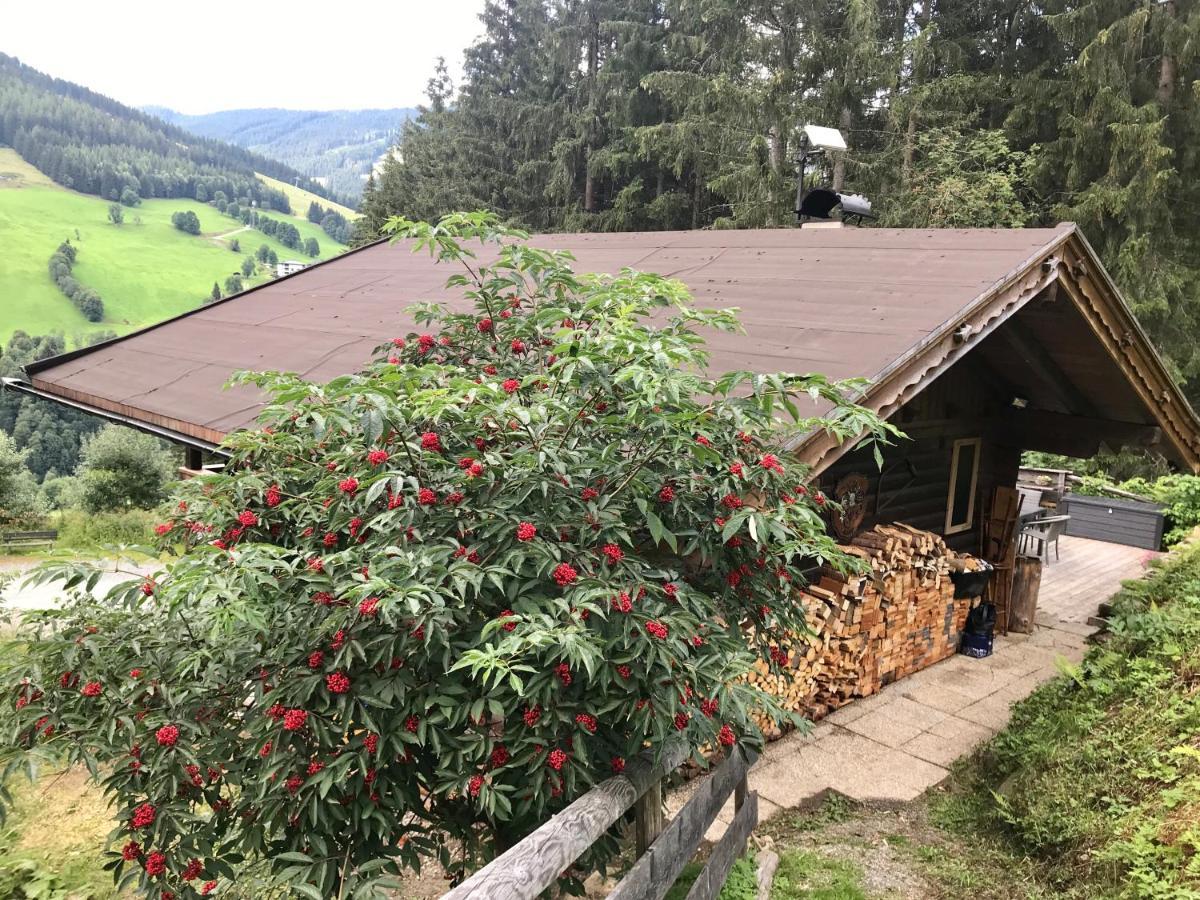 Wasserfallhuette Saalbach Zewnętrze zdjęcie