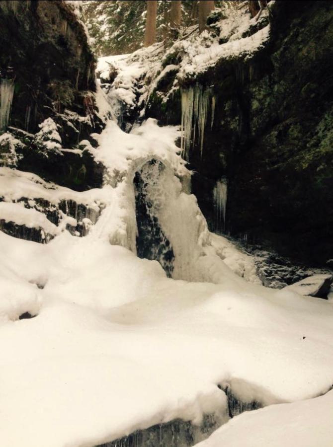 Wasserfallhuette Saalbach Zewnętrze zdjęcie
